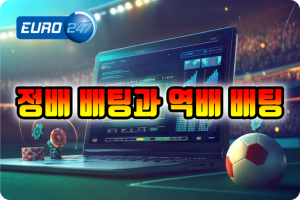 정배 배팅